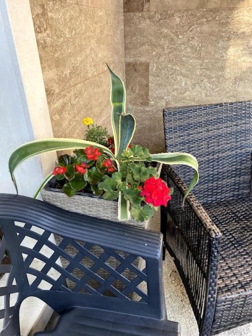 Apartament Casa Del Sole - Beautiful Studio In Varna Bulgaria Zewnętrze zdjęcie